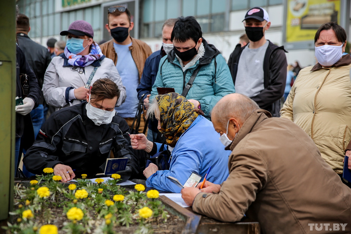 Сбор подписей за выдвижение Светланы Тихоновской